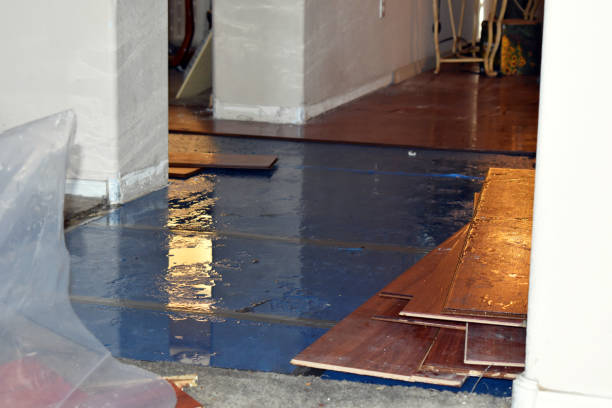 Professional Water Damage Restoration technician working in Harrisburg, SD